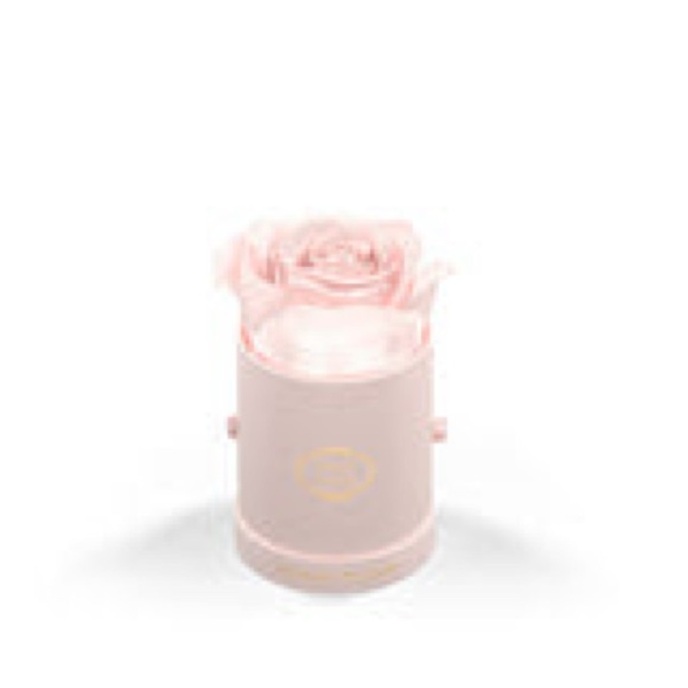 Venus Et Fleur Le Mini Round Blush Suede - Picture 2 of 2